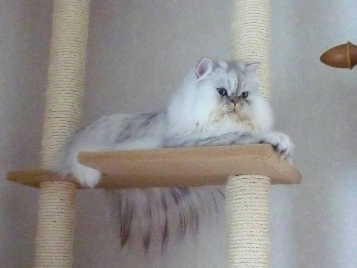 2014-11-05.jpg