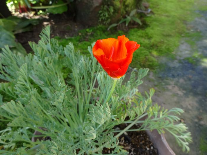 DSC07223.JPG