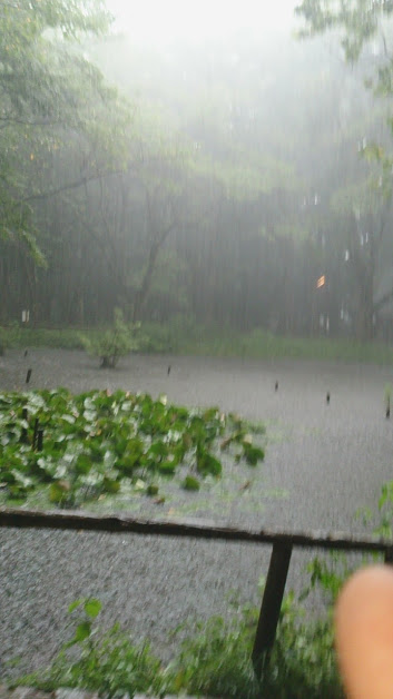 2016082208.jpg