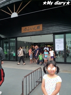 20120814h.jpg