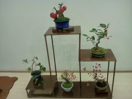 ミニ盆栽10-19 (2).JPG