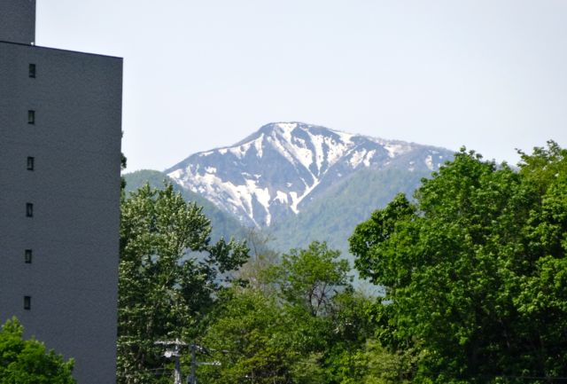 2015.5sapporo1.jpg