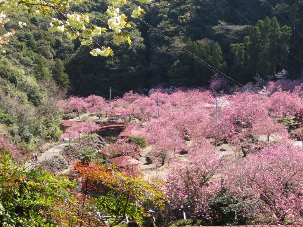 一心寺 (13).jpg