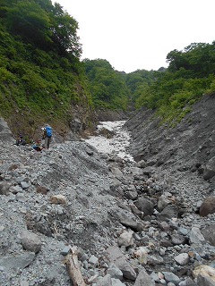 DSCN0986.jpg