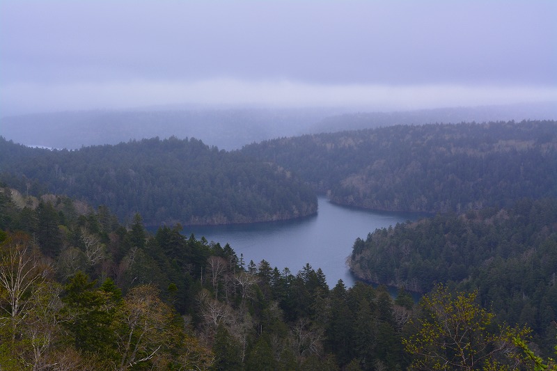 DSC_0666.jpg