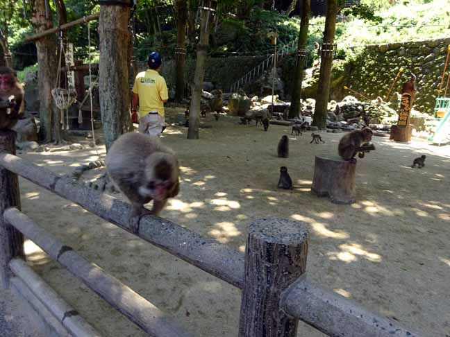 芋の時間 (2).JPG