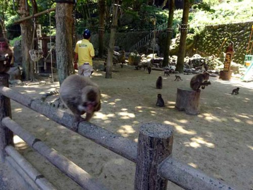 芋の時間 (2).JPG