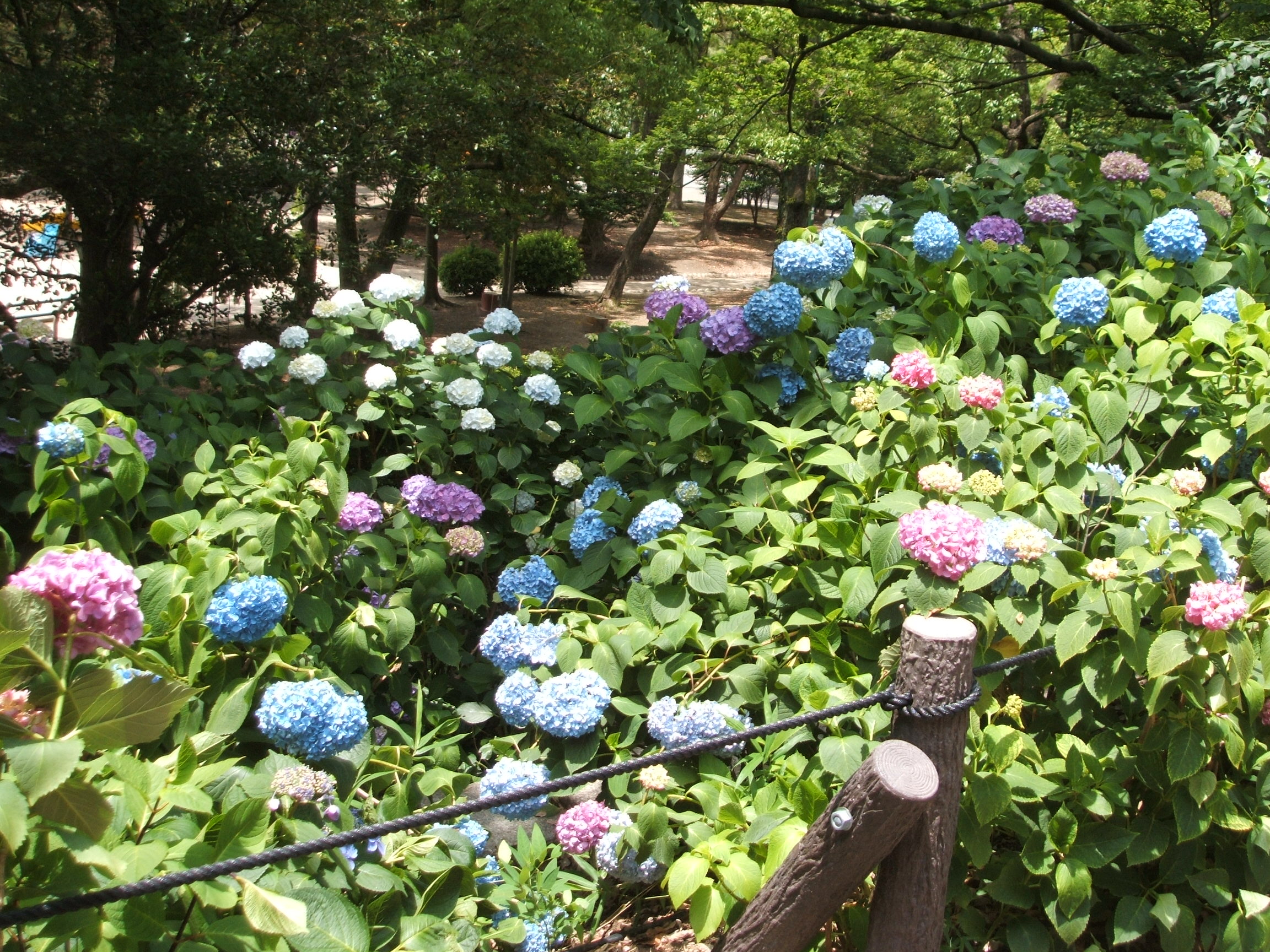 DSCF3643.JPG