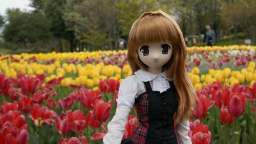 木曽三川公園チューリップ  陽菜ちゃん4.jpg