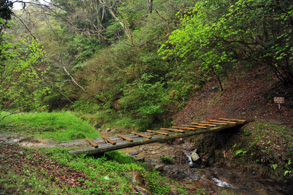 DSC_4571木橋のある風景.jpg