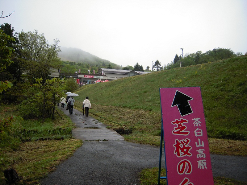 DSCN6645.JPG
