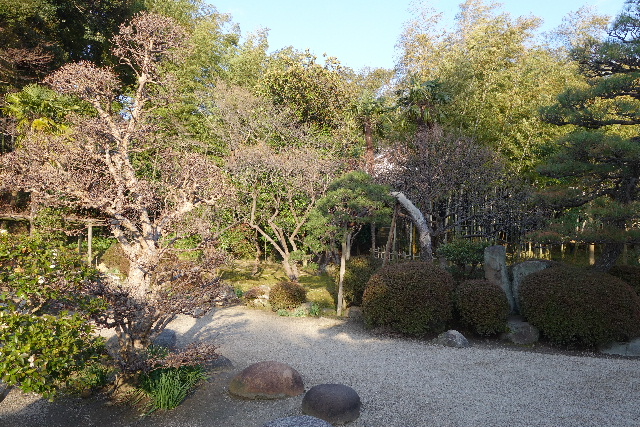 DSC03717.JPG