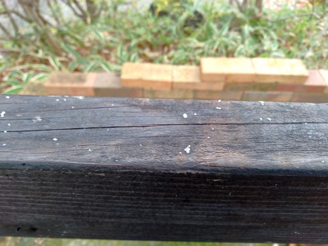 231113snow.jpg