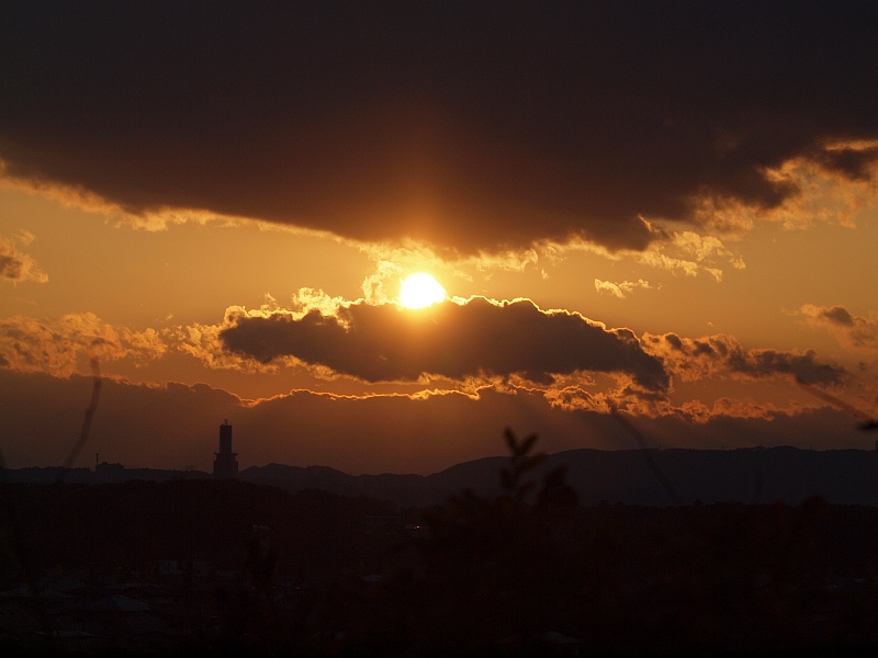 PB049835.JPG