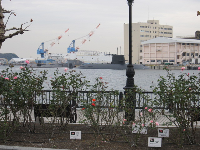 ヴェルニー公園と横須賀港