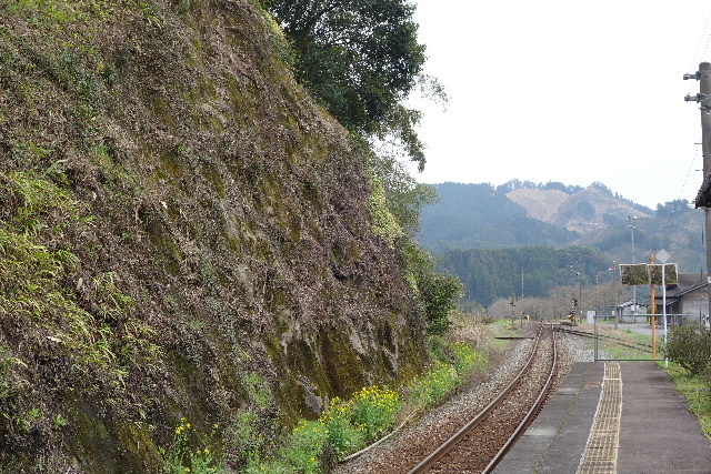 DSC03830.JPG
