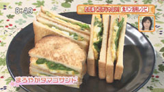 t_20120406-3.jpg