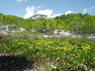 IMGP0713.jpg