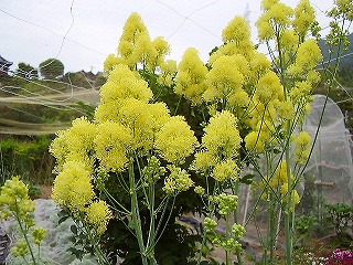 conv0225.jpg