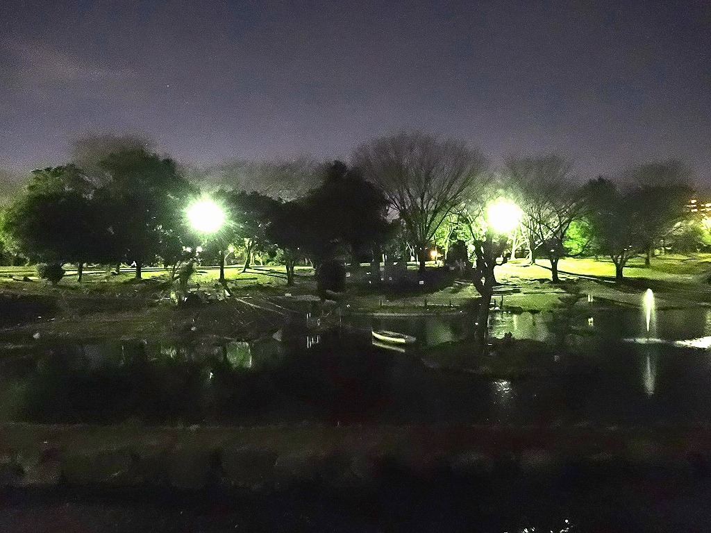 DSC00176.jpg