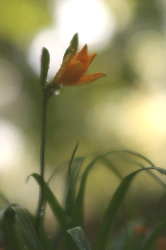 0513-3.jpg