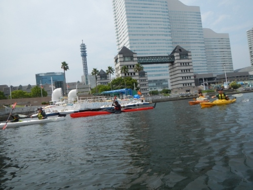 DSCN5022 (640x480).jpg