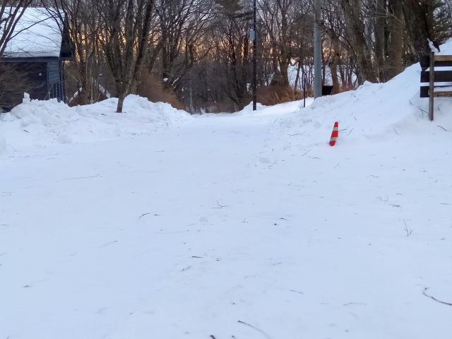 250214road.jpg