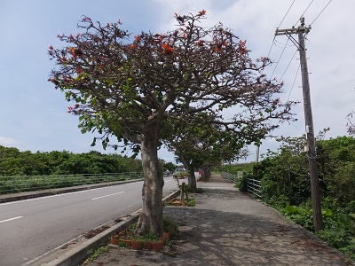64.jpg