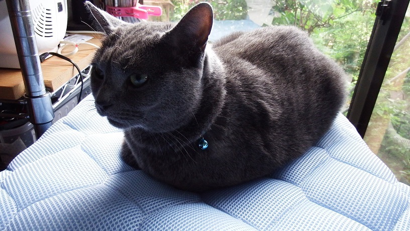 DSCF9082.JPG