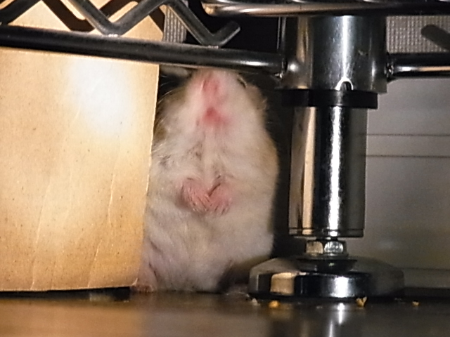 2014_06060145.JPG