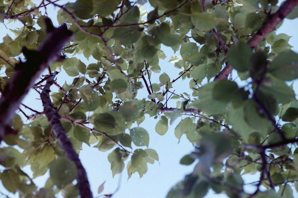 PICT0001 s.JPG