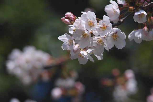 0401-4.jpg