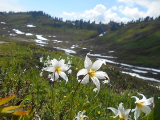 s-DSCN0947.jpg