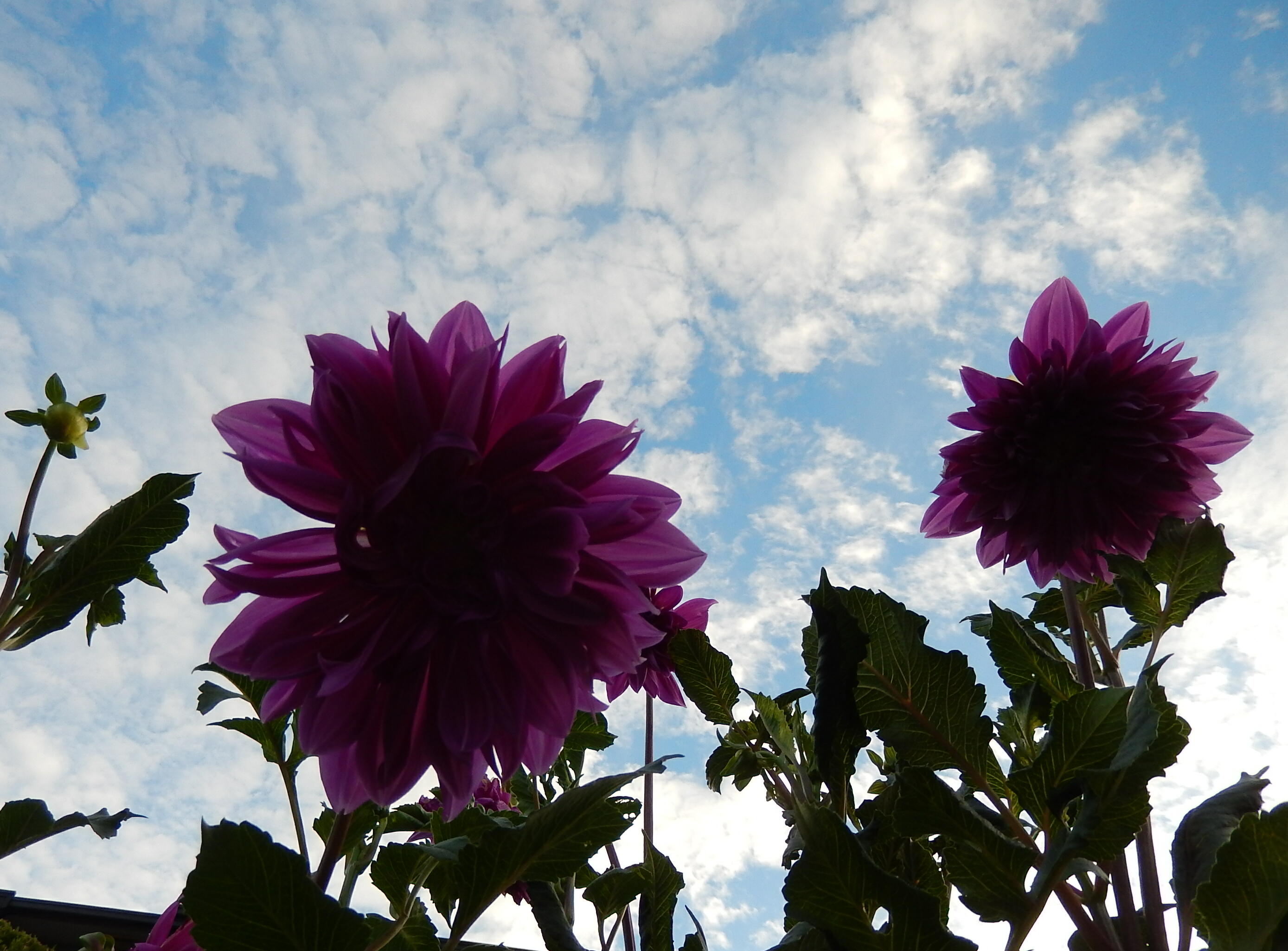 140831-2-4.jpg
