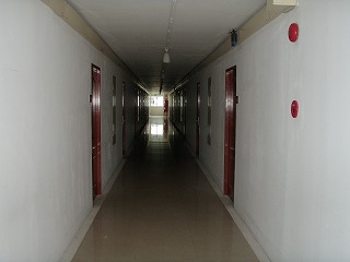P8030200.jpg