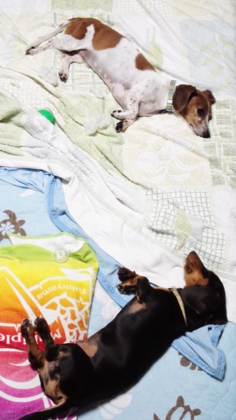 150716_2209~01.jpg