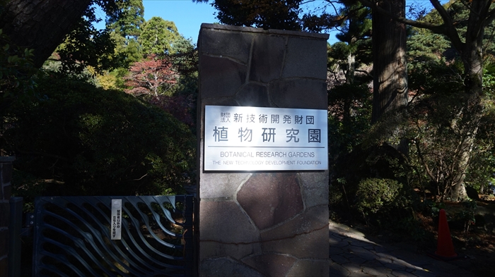 20151127 10070401.jpg