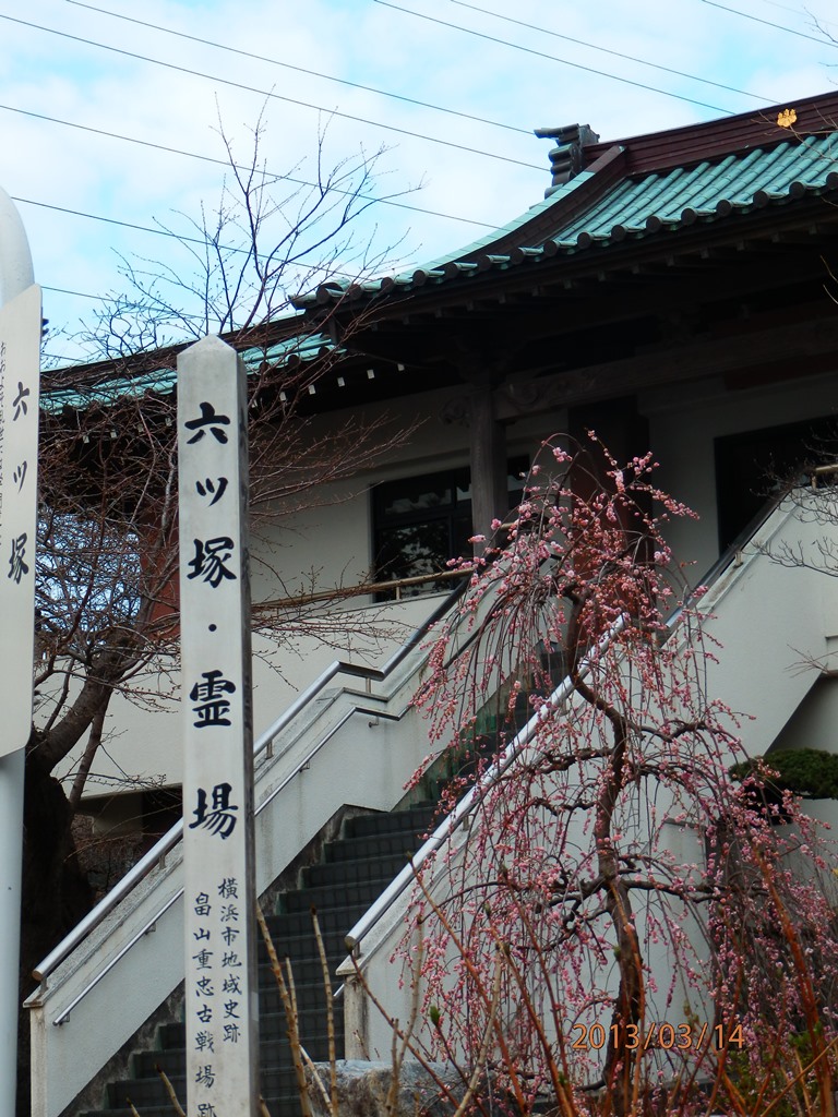P3140315a横浜 薬王寺.JPG
