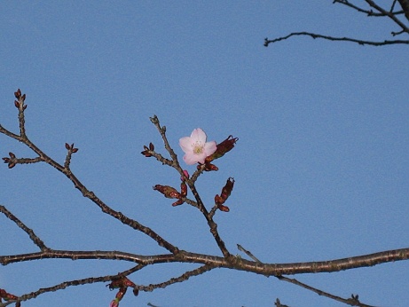 2013-5 064-1.jpg