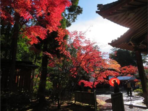 赤山禅寺 (27).jpg