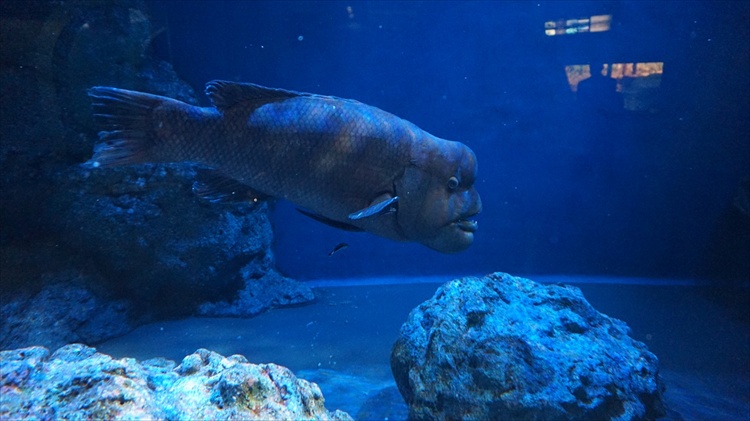 20151111 16111602.jpg