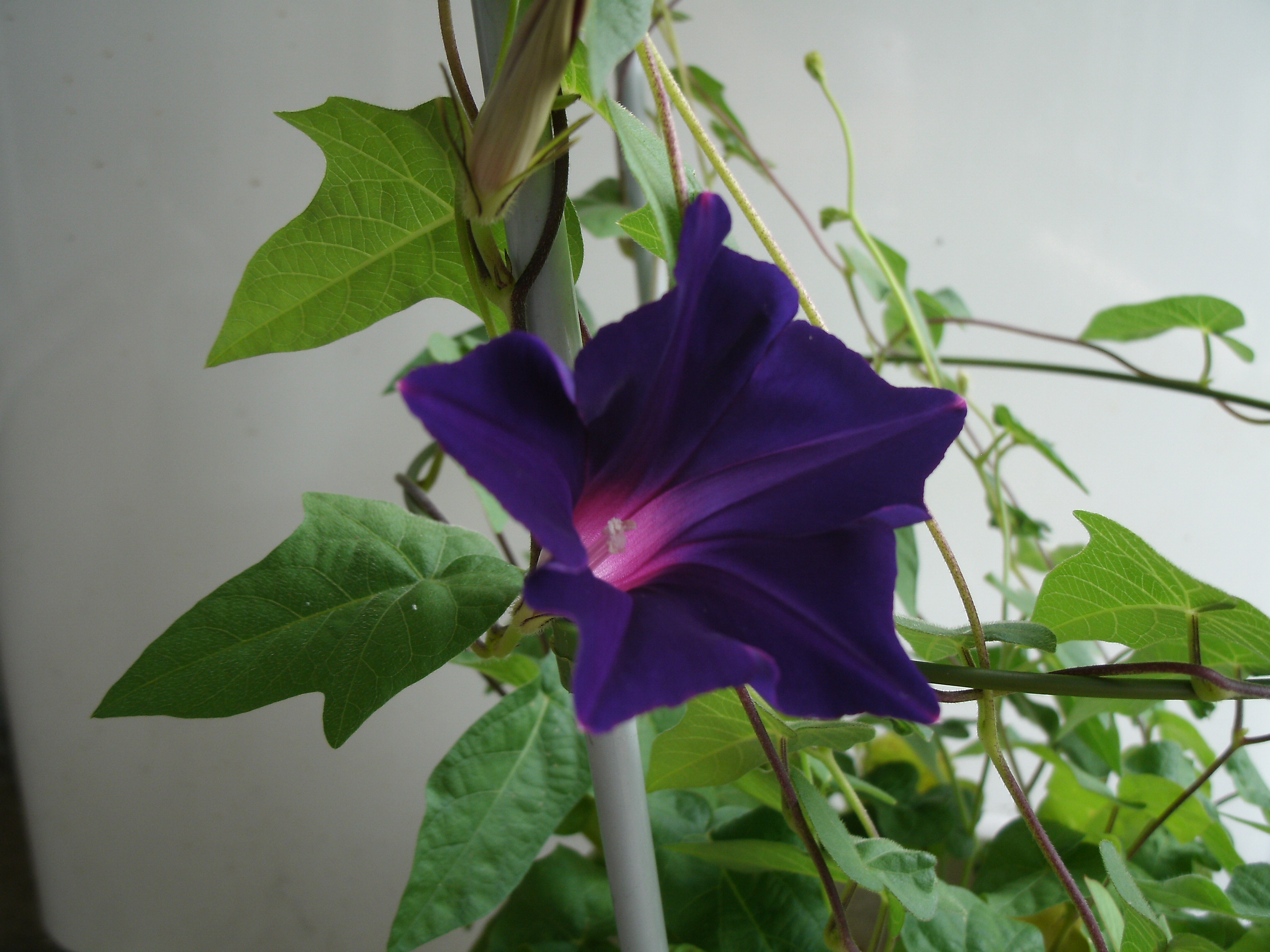 20160626.JPG