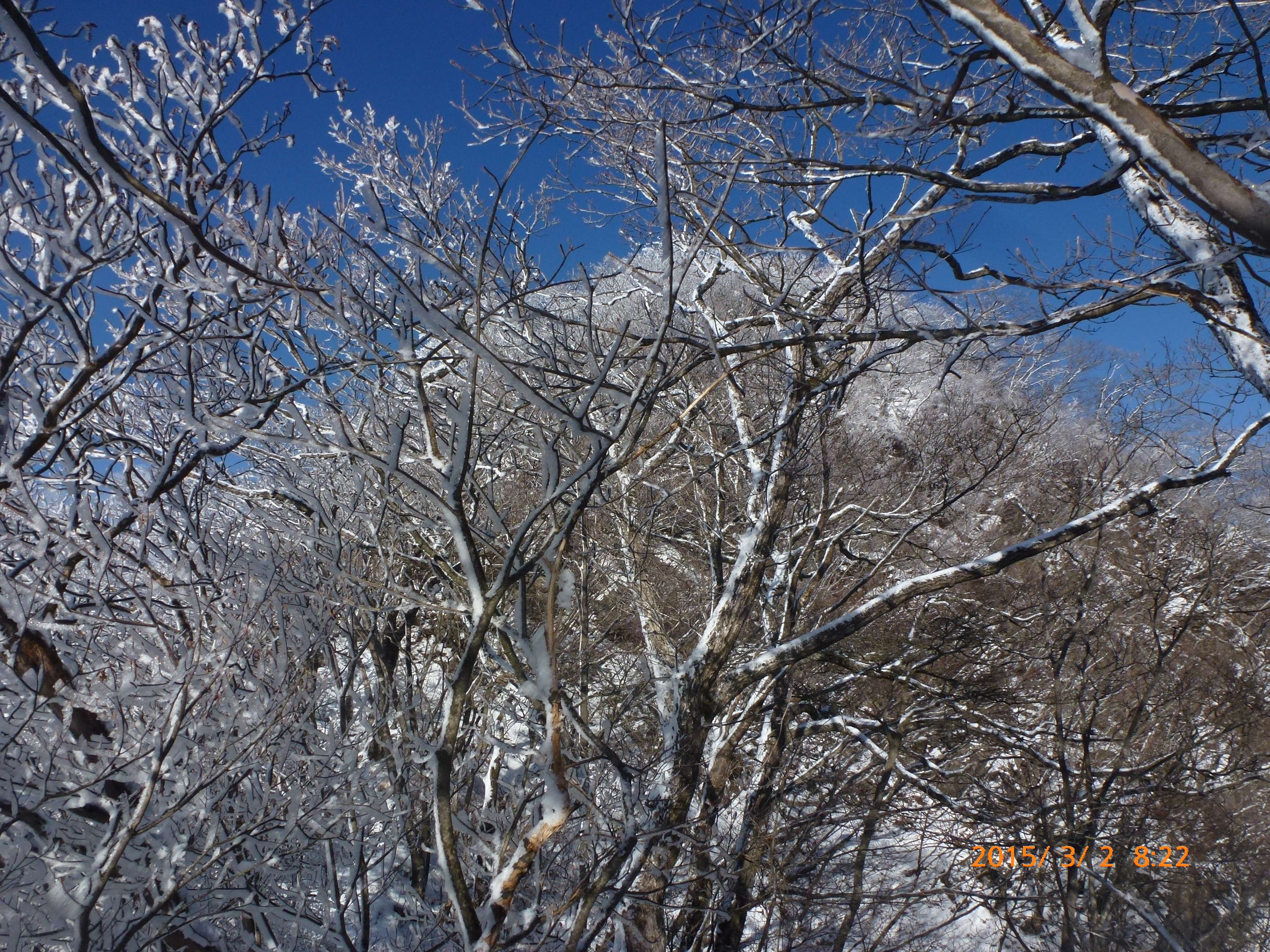 P1090666.JPG