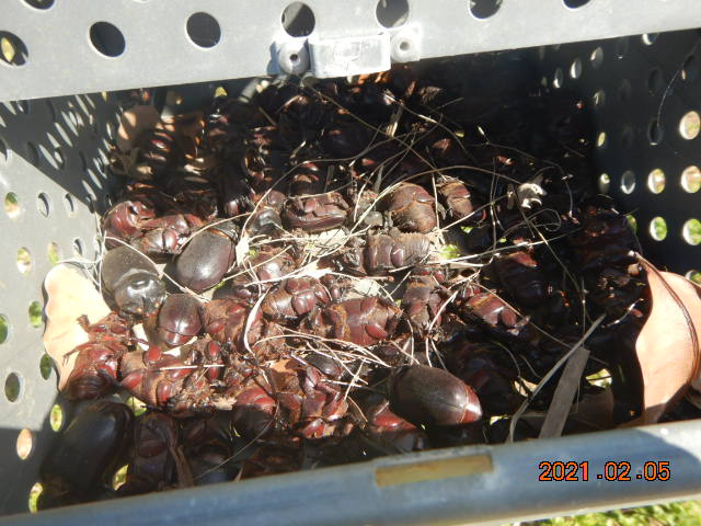 DSCN9968.JPG