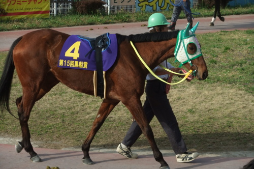 おまけ　トウホクビジン全身