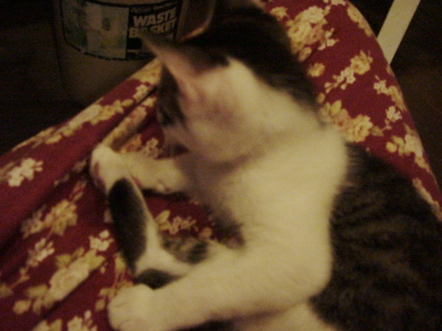 DSC09038.JPG