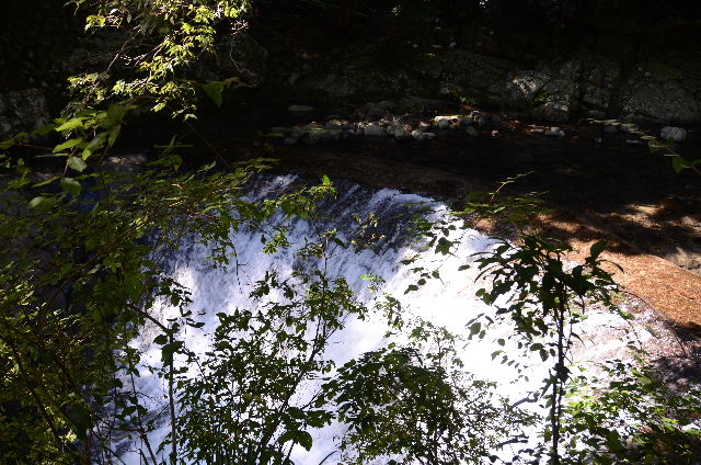 DSC_4578.JPG