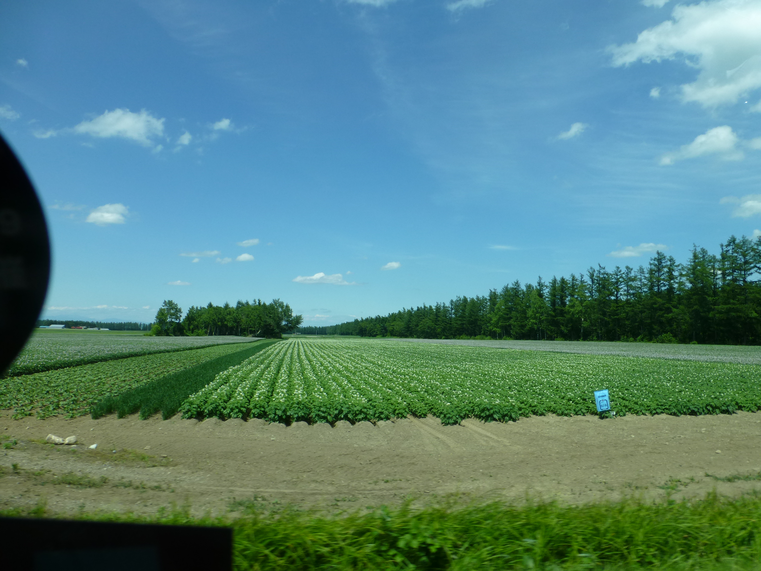 P1150503.JPG