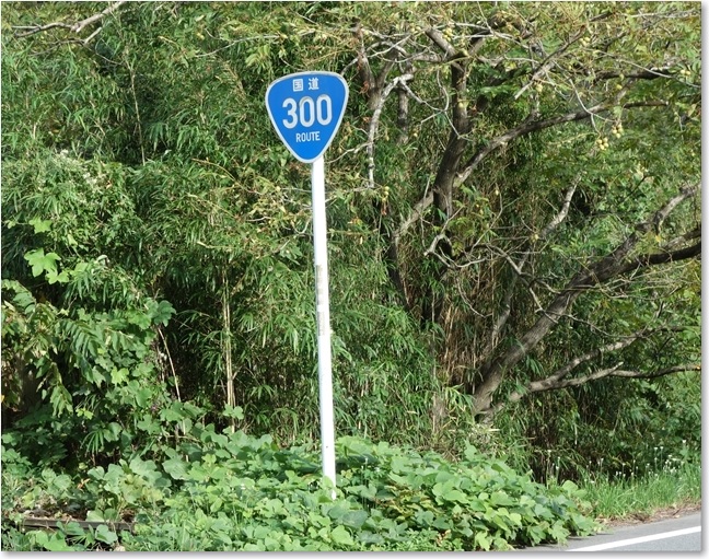 16国道300号