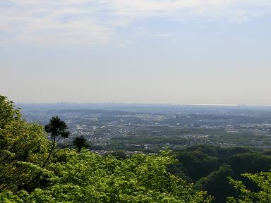 高尾山・昭和記念公園 057-1.jpg